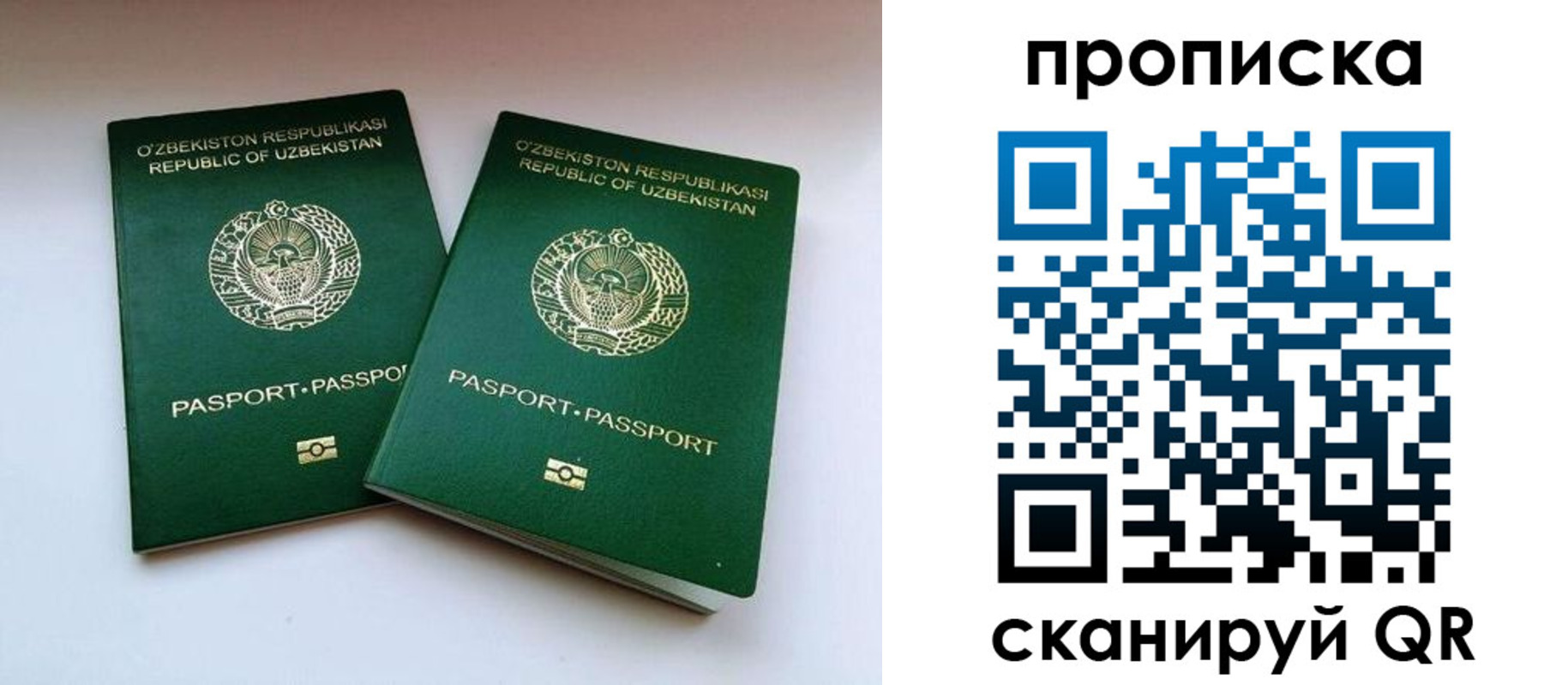 прописка поиск в Белово